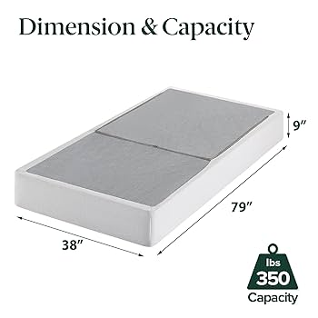 Amazon.com: ZINUS 9 Inch Box Spring with Cover, No Assembly